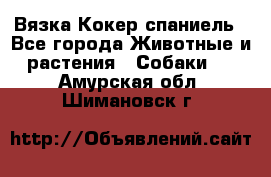 Вязка Кокер спаниель - Все города Животные и растения » Собаки   . Амурская обл.,Шимановск г.